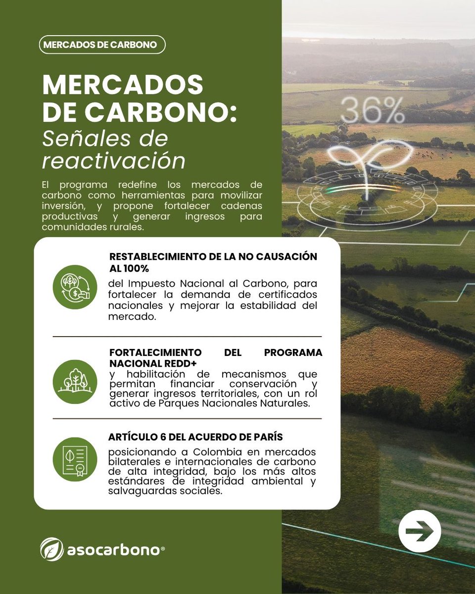 Asocarbonocol's tweet photo. Desde ASOCARBONO compartimos un análisis de los temas de mayor relevancia presentados en la Agenda ABC, para el mercado de carbono en Colombia y continuaremos haciendo seguimiento técnico a su desarrollo.

Conozca más sobre nuestras membresías en comunicaciones@asocarbono.org. https://t.co/qXroVuqrht