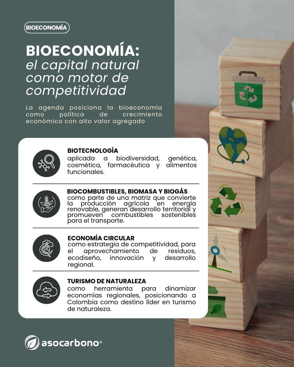Asocarbonocol's tweet photo. Desde ASOCARBONO compartimos un análisis de los temas de mayor relevancia presentados en la Agenda ABC, para el mercado de carbono en Colombia y continuaremos haciendo seguimiento técnico a su desarrollo.

Conozca más sobre nuestras membresías en comunicaciones@asocarbono.org. https://t.co/qXroVuqrht