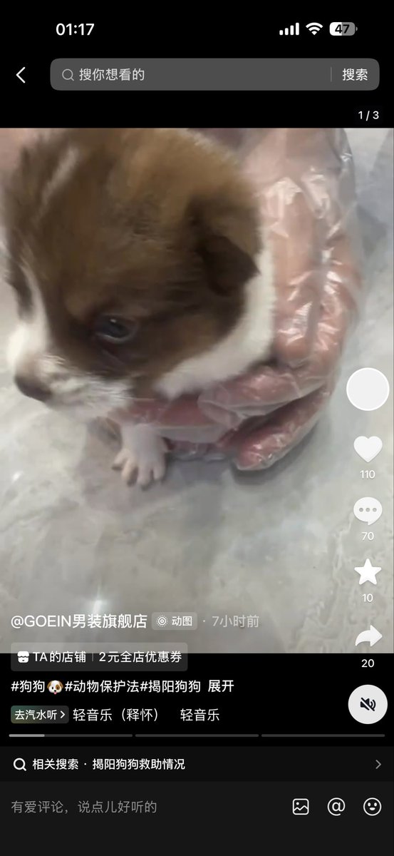 current0411's tweet photo. 广东揭阳新亨镇坪埔村死男童活烧死一只狗妈妈和四只幼犬后续。据一位当地网友表示，事后在现场捡到了幸存的一只小奶狗，头部有被敲的受伤痕迹。狗妈妈奋力保护的狗崽崽，至少还有一只活了下来，她的努力没有白费。#广东揭阳 #坪埔村 https://t.co/B2Jbq9hEgc