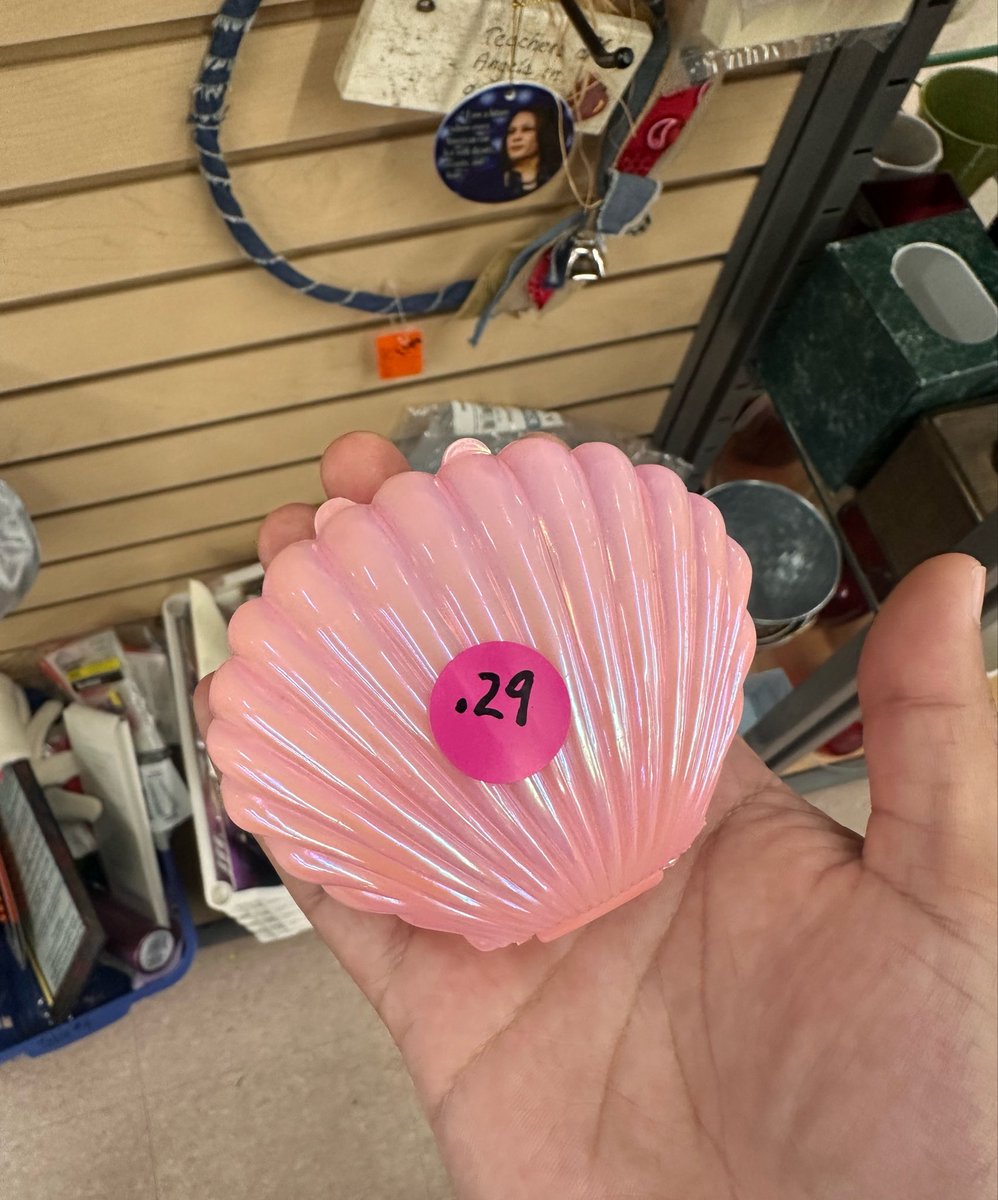 woahokrandy's tweet photo. they have liz mcgraw’s clam on sale for 29 cents next to kamala harris :( https://t.co/S9gvYROxaw