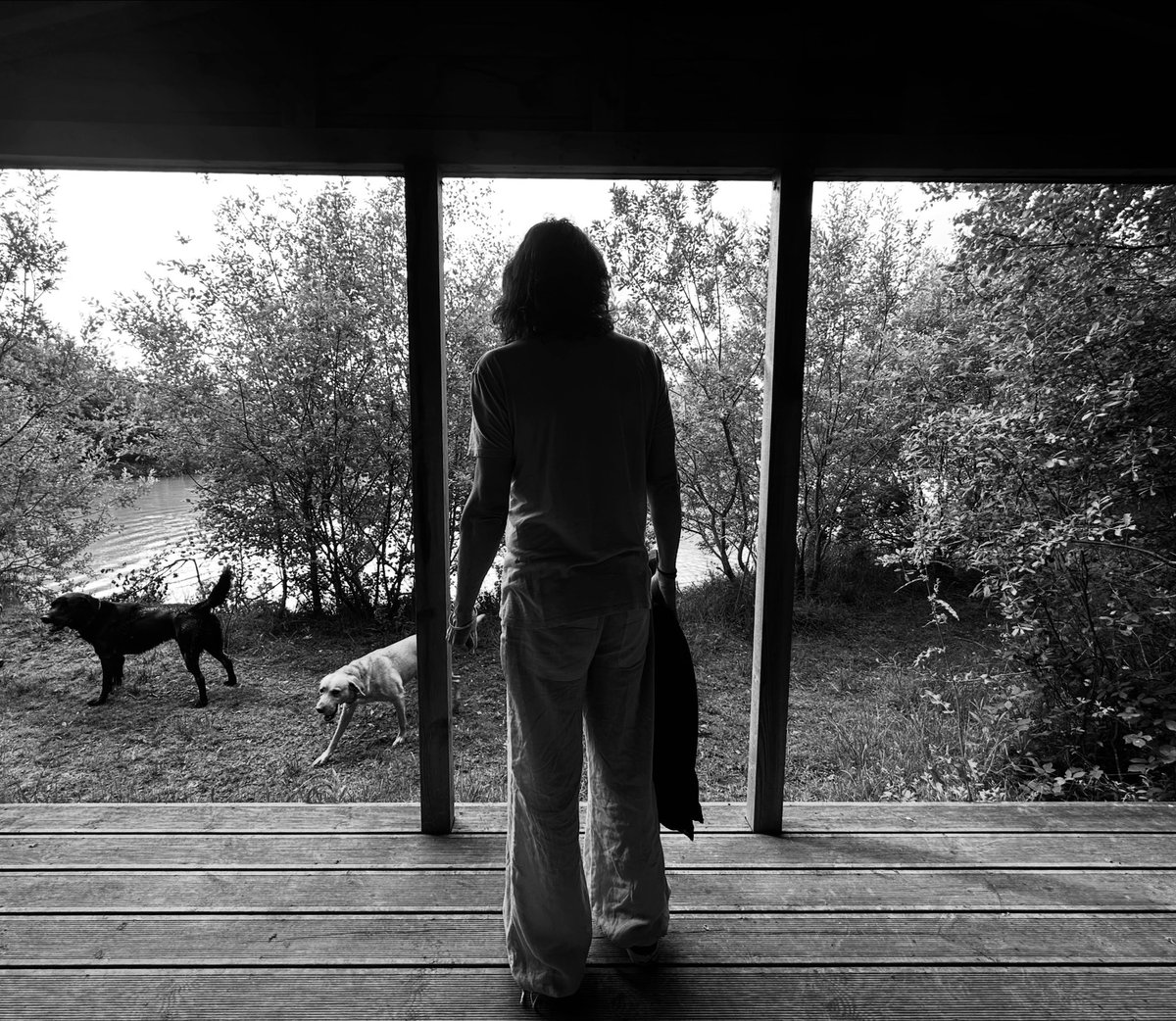 DaveKilminster's tweet photo. Just got back after a few days away… hope you’ve all been behaving yourselves!! ☺️ 

📷 by María ✨🩵✨ 

#justanotherday https://t.co/Jddr5myycR