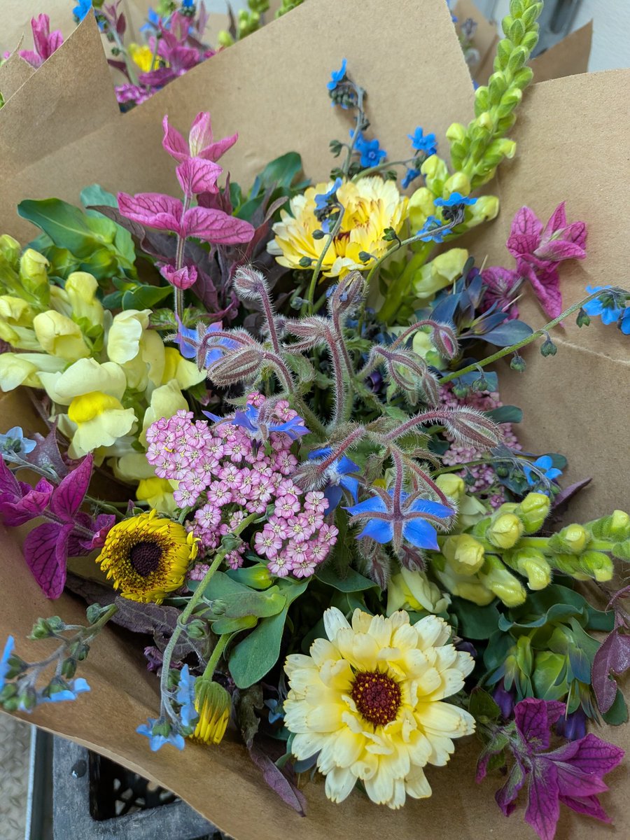 HumusAmongUs's tweet photo. We're back 🌸🌼😘 https://t.co/TG0RwqNY0O