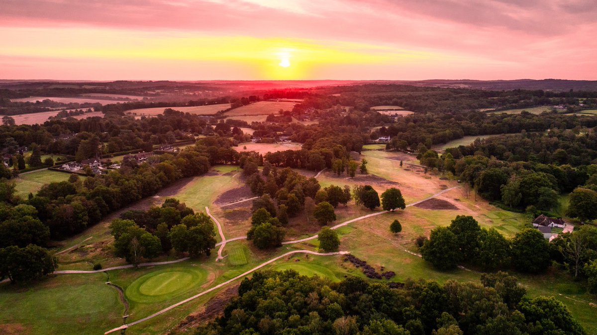 RoyalAshdown's tweet photo. Few courses in the country can boast such a peaceful setting as Ashdown Forest. Members know all too well that an evening 2-ball is one of the most tranquil rounds available, where you'll see only a handful of other golfers. https://t.co/wdPLBKb4rW