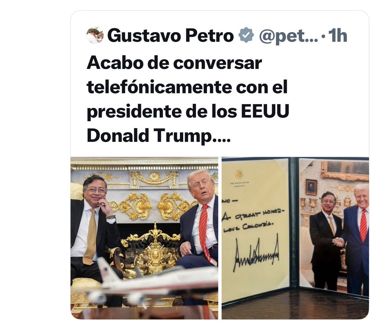 Liliana Castaño tweet media