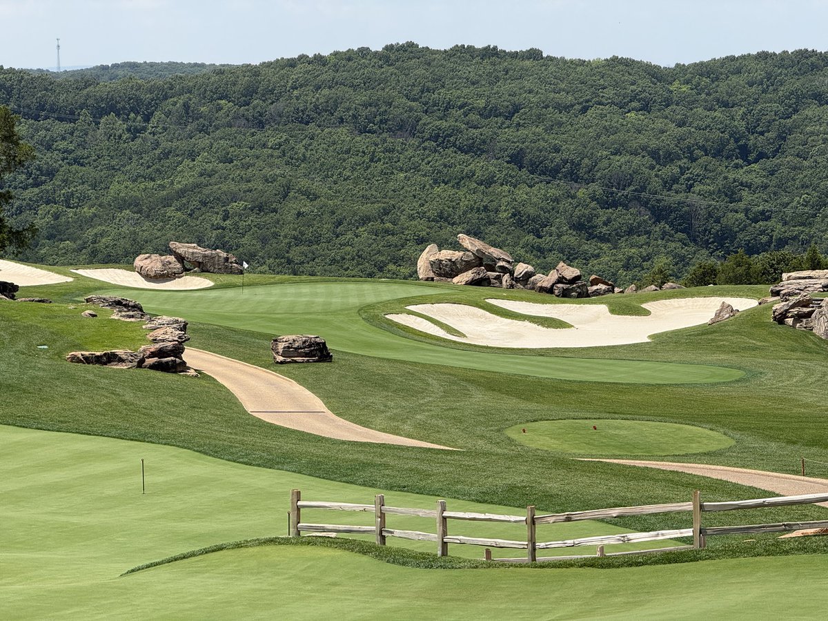 Big Swing Tempo tweet media
