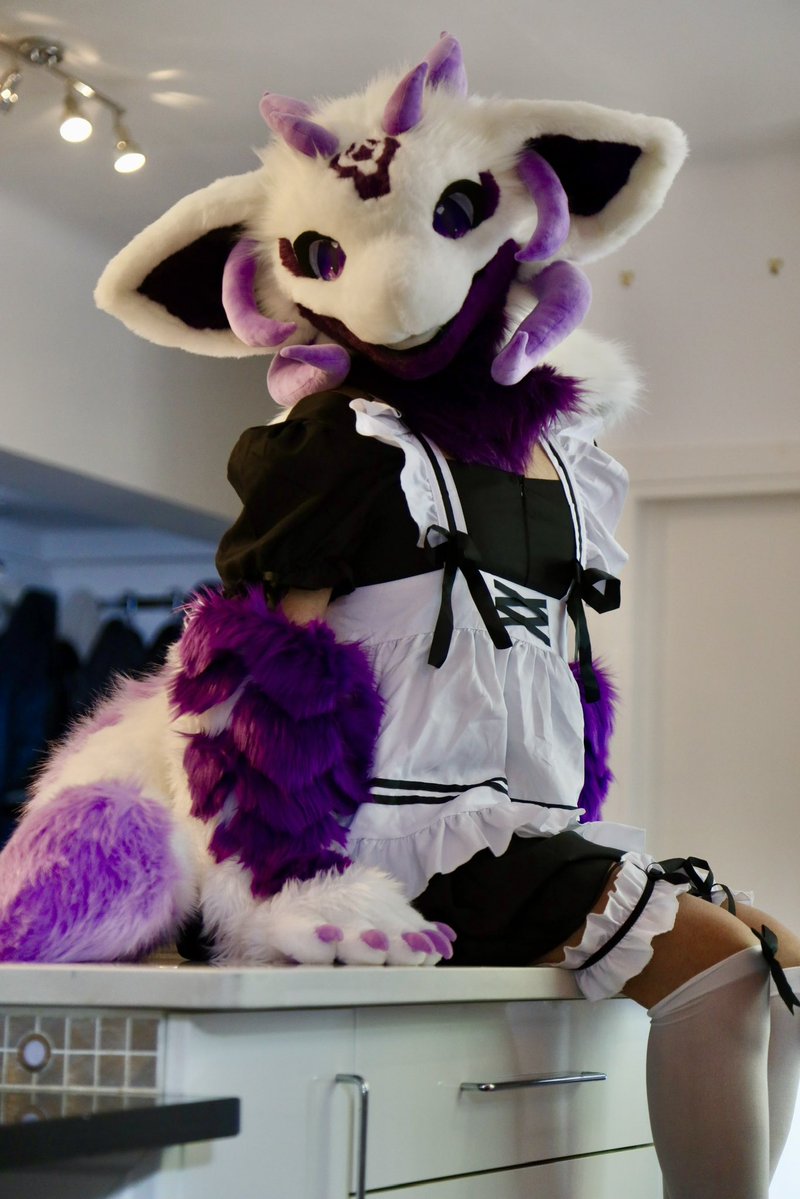 Purpleninfy's tweet photo. at your service!

#fursuitfriday #fursuit https://t.co/uKvaI7i4n0
