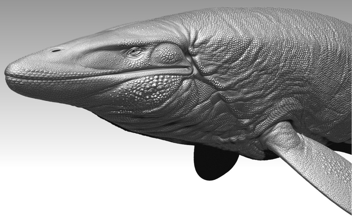 nottt_mimi's tweet photo. Tylo sculpt done!

#paleoart #zbrush #tylosaurus https://t.co/pU8isirYhI