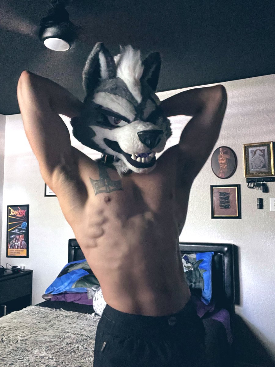 Frute_Brute's tweet photo. Wake up and smell the gains! We’re about to hit the gym hard for a back and legs day! 
 Aye so much yesterday I feel so energized! 💪🏼 🐺 https://t.co/6MJE22wRRl