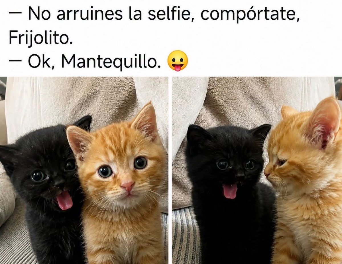ljndrrosse's tweet photo. yo soy frijolito https://t.co/gdedFKBH2B