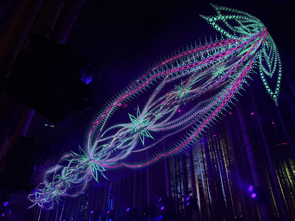 abstractrat's tweet photo. I think we can all agree the best art instillation at electric forest was the giant bioluminescent dotted string thing made by Flowers Of Life https://t.co/xEE34GpwCT