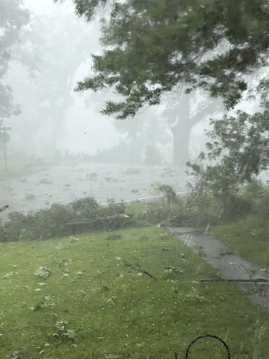 DavidS_WX's tweet photo. @tomwachstv Tree Damage in Bloomfield and Lake Como, Wi https://t.co/767gEDT0qy