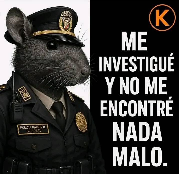JavierGarc58895's tweet photo. @Caful1403 @julianaoxenford Tal cual su KK !! https://t.co/FDHYKXxkip