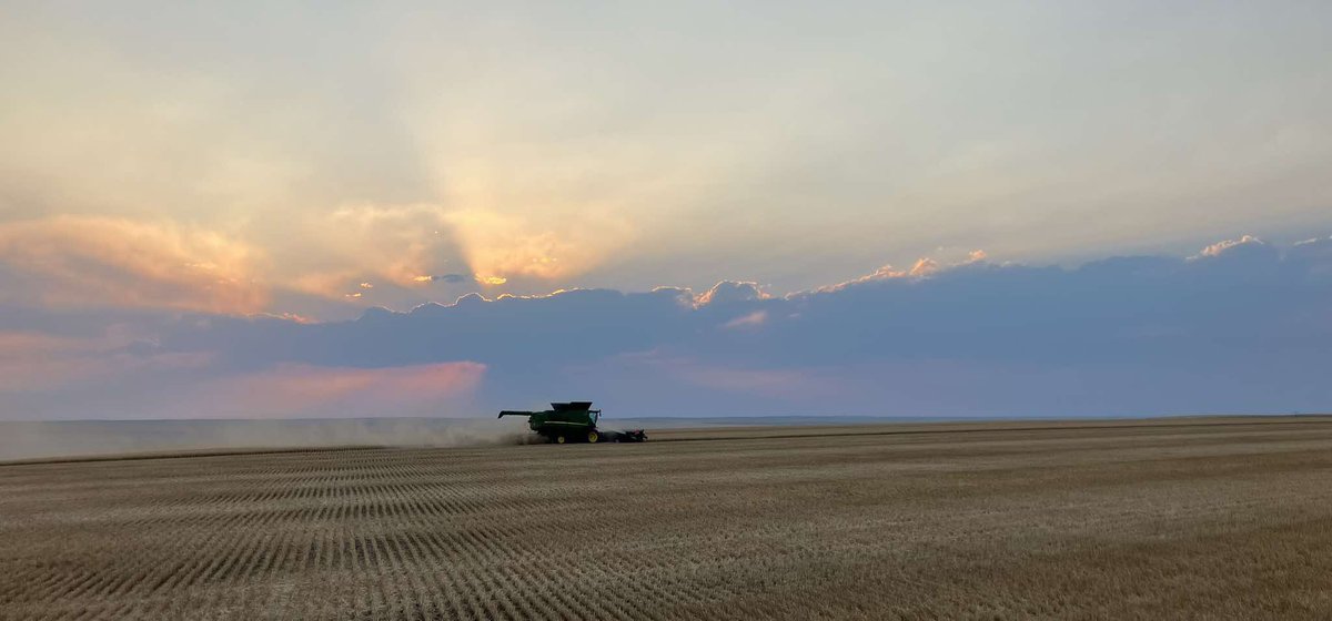 coloradowheat's tweet photo. 📸: Kinsey Erker, South of Wiggins, CO #wheatharvest26 https://t.co/z11wxo9OXV