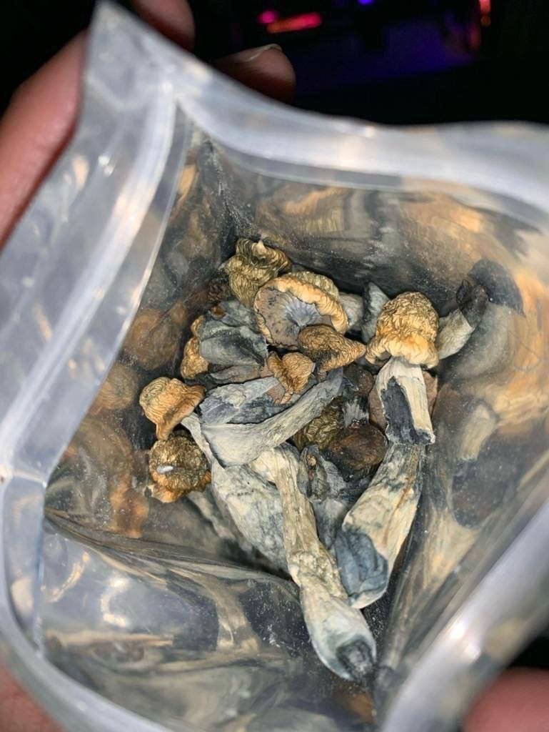 Highexonr's tweet photo. TOP SHELF INDOOR EXOTIC CANDY Products:
Real Zaza, Cali Kush Gas, Za Bud THC oil, Cannabis Oil, THC Liquid, THC Vapes, Edibles, and Mushrooms. plug available
#AustinMeetups #DTX #ATX #DallasMeetup #DallasMeets #Dallas #DallasFreaks #DallasExotic #DTF #DallasKush https://t.co/qOYGyxneJt