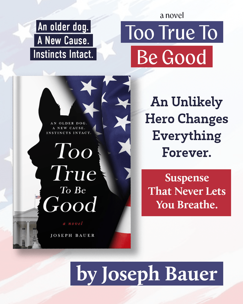 BookPings's tweet photo. When a carefully orchestrated assassination plot threatens America's highest office, a determined team of detectives and agents discovers that heroes often come in unexpected forms. BY Joseph Bauer

Available on - Amazon https://t.co/8kUwdAllau