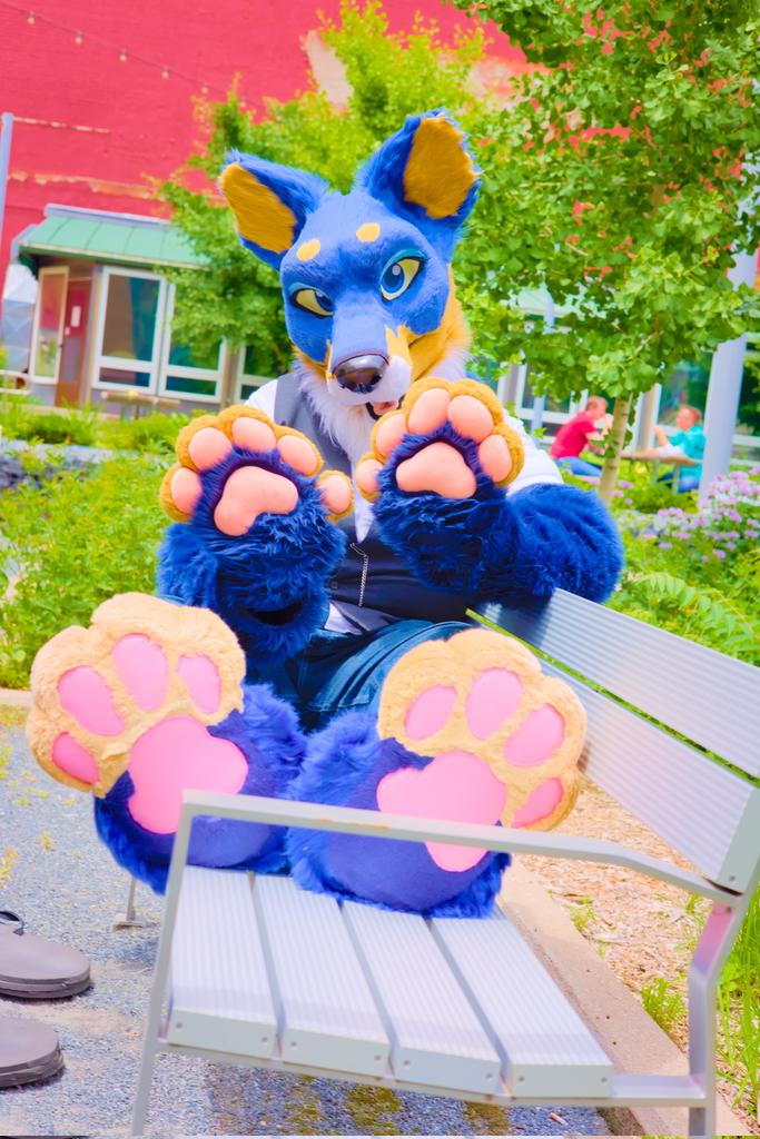 ArtemisWishfoot's tweet photo. Bare-beaned doggo in the city!

📷: @DukeDoggo
Edits: me
#FursuitFriday https://t.co/Dx6BBUEmI8