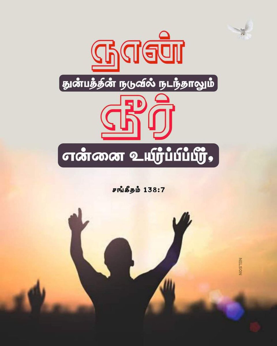 Gospels18's tweet photo. இன்றைய வேத வசனம் 📖👼 July04 #GospelsEverywhere #bible #todaysbibleverses #இன்றையவேதவசனம் #July04
இந்த வசனம் உங்கள் மனதிற்கு ஆறுதல் அளித்ததா? இது போன்ற தினசரி இறைவார்த்தைகளைப் பெற எங்களைப் Follow செய்யுங்கள். உங்கள் நண்பர்களுக்கும் பகிர்ந்து ஆசீர்வாதமாக இருங்கள்! https://t.co/VLyAA9NMvQ