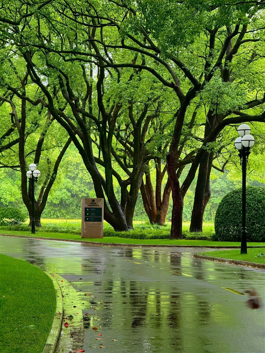 pamvonhadder's tweet photo. Humans need more parks. https://t.co/SJ08EU8PUg