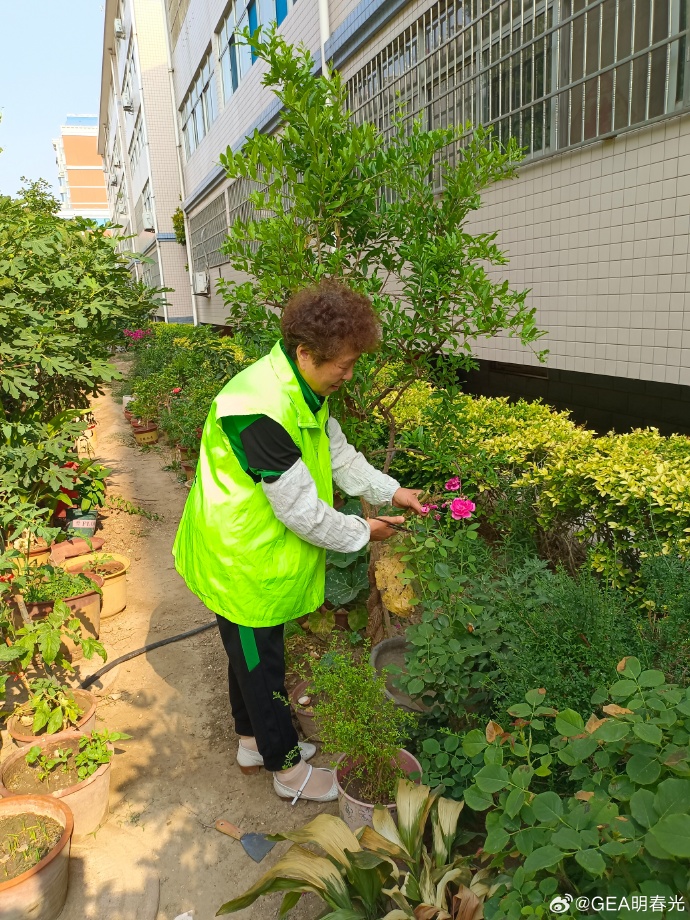 Dkorobach1's tweet photo. Join our community garden cleanup this Sat 9am at Oak Park! Bring gloves u0026 energy—we’ll plant new flowers too! Let’s grow together. https://t.co/P3a3vopSyJ