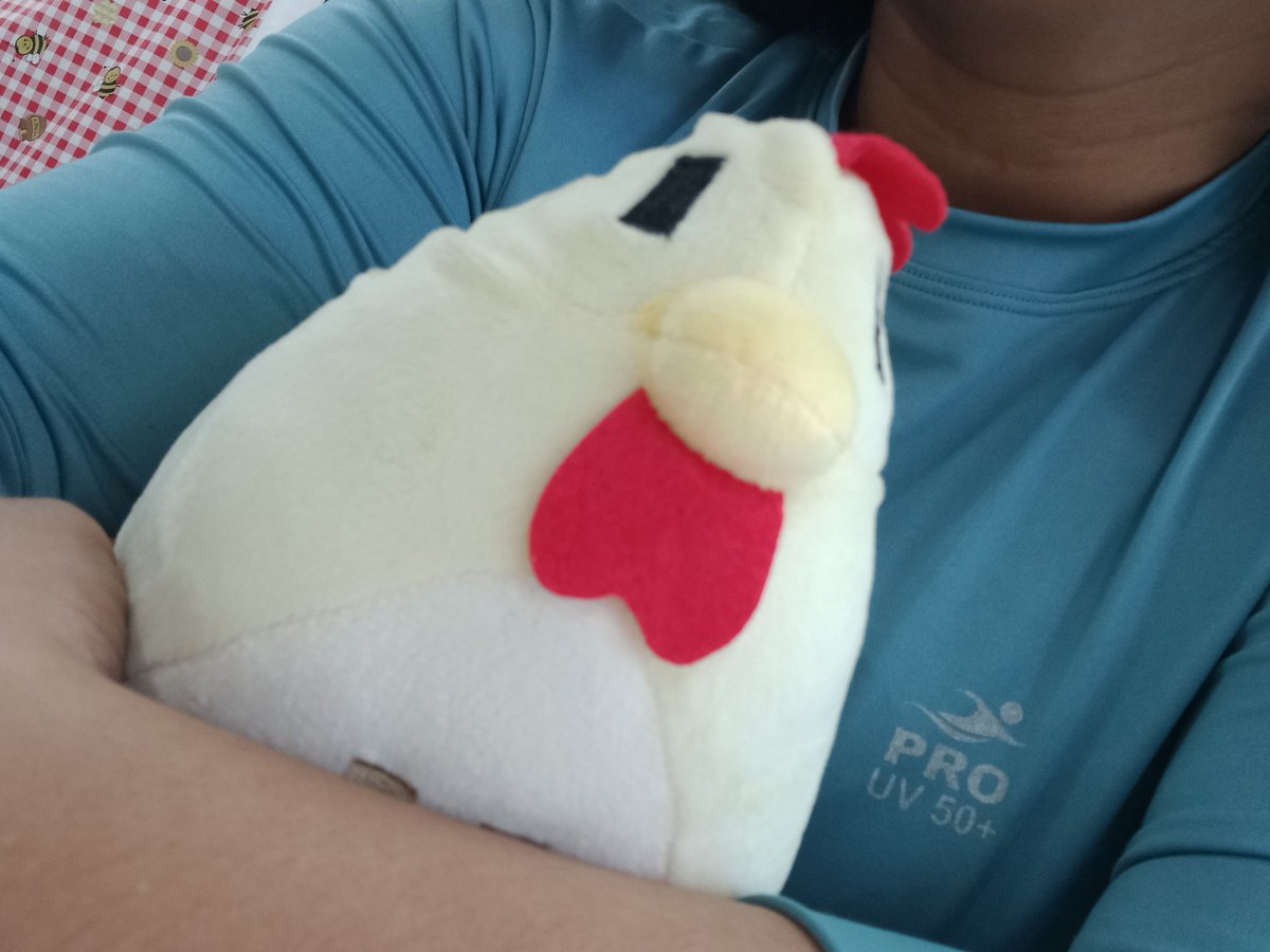 aLeonnia's tweet photo. Minha galinha chegou hoje aaaaaa MDS tô muito feliz #stardewvalley https://t.co/vcO41cYHDV