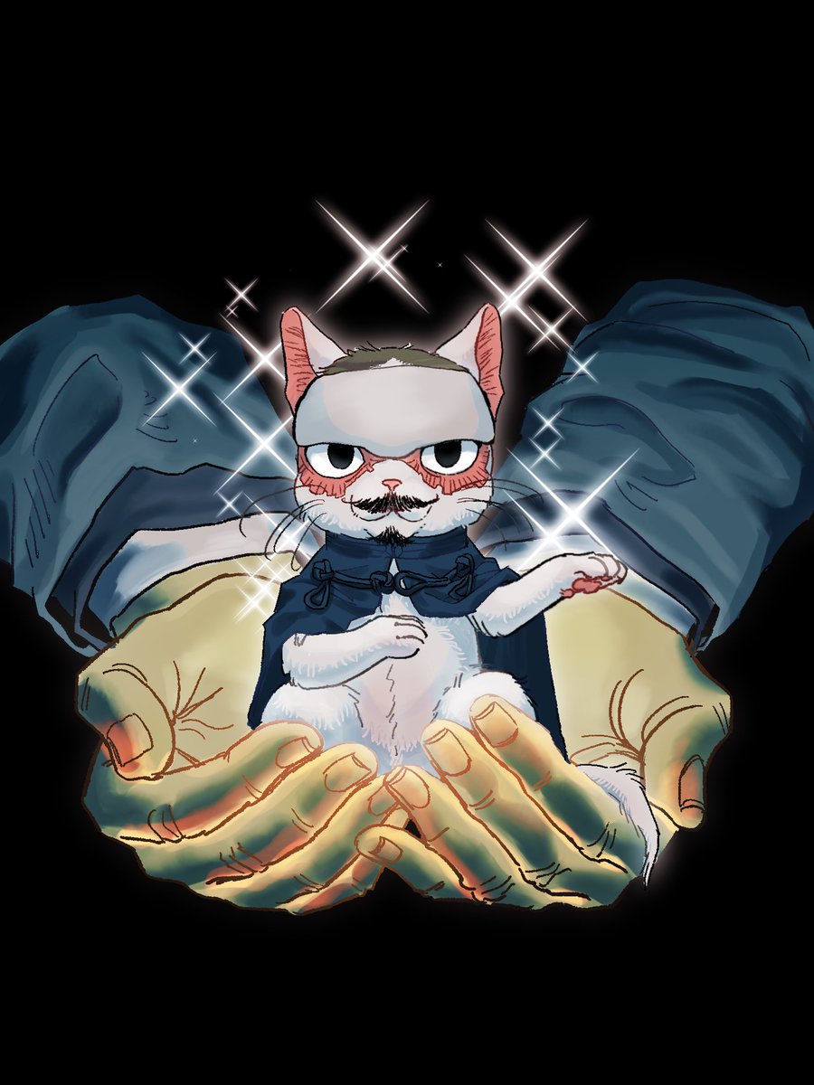 RT @mm1334803503: ねこ✨