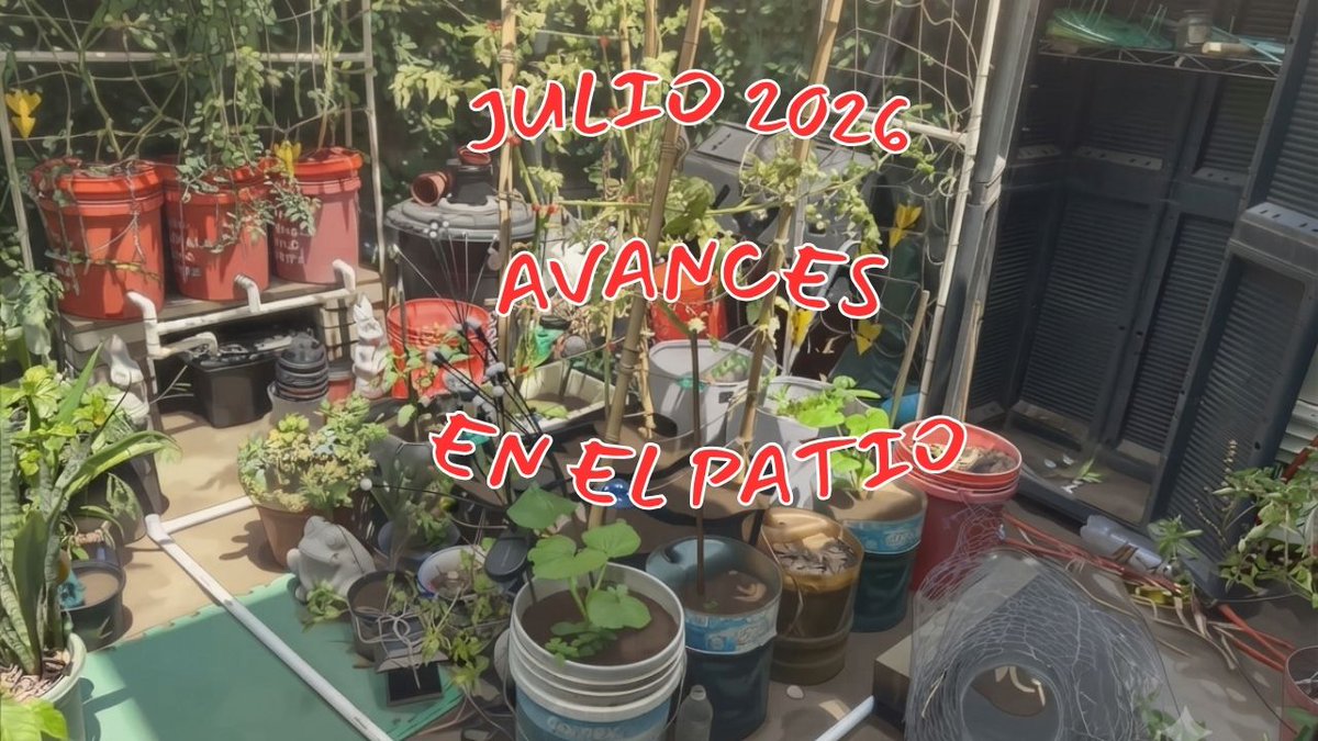 MMuchachoJ's tweet photo. Julio 2026 Avances en el patio https://t.co/6ORBlNDiij via @YouTube https://t.co/7FyX7ZgVw1