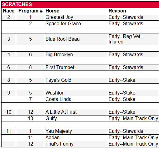 juancarlosrm_1's tweet photo. 📋 Ejemplares retirados para la jornada de hoy, viernes 03 de julio, en el Hipódromo de Saratoga.

Cortesía: @TheNYRA 

#Saratoga #HorseRacing #Hipismo #NYRA #Retirados https://t.co/Ohrwpc5CTz