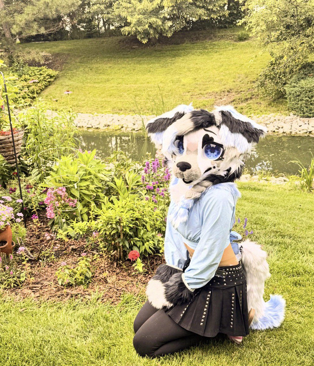 duchywolf's tweet photo. New sona

🍡Mochi Cakes 🍡 https://t.co/I2wv9qhNW2