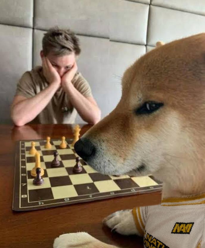 natusvincere's tweet photo. You know what to do

👉 https://t.co/0XJTV7KtPb https://t.co/MzytvgS5qB
