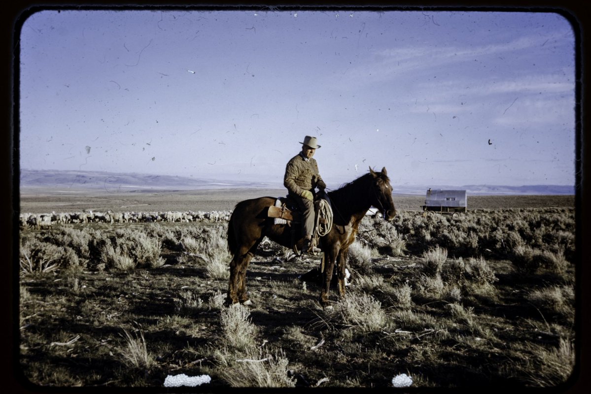 OliverWDahl's tweet photo. America the Beautiful
Photographed on Kodachrome film https://t.co/VLnlhseuHx