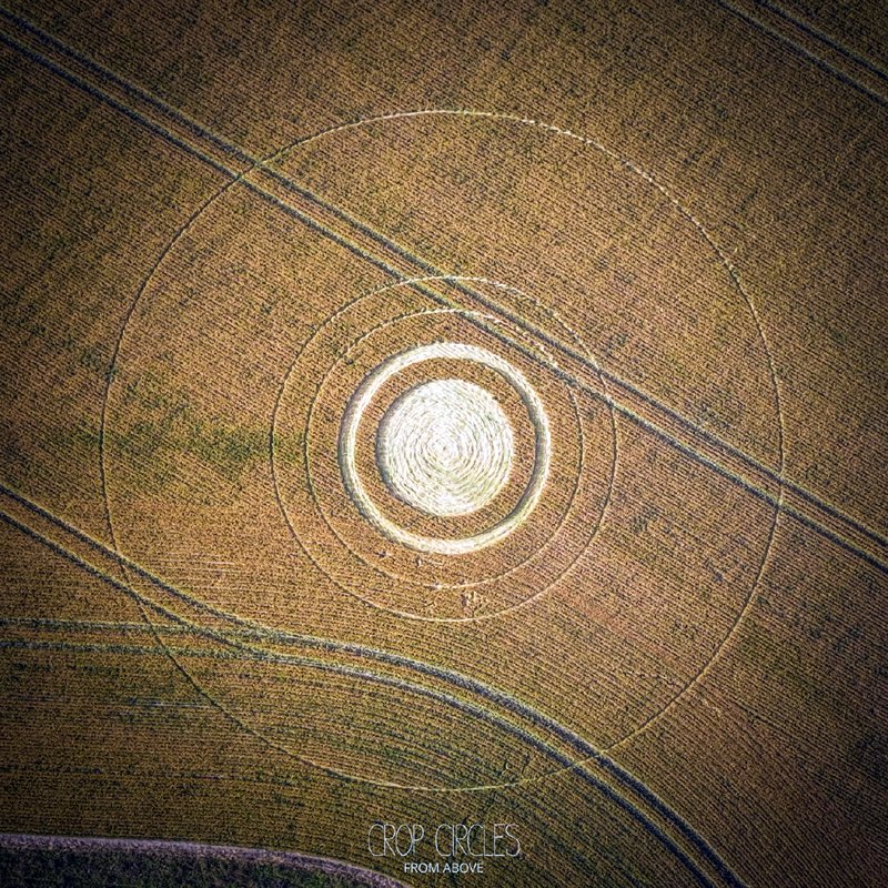 spiritstem_'s tweet photo. Two side-by-side NEW crop circles in Oxfordshire UK

Part two of the 2026 season has started with a bang 💥💥

Two new formations arrived today 📍

and there is said to be 2-3 other ones (!!) that have arrived in previous days, but were mostly undisclosed ... https://t.co/D8BzqJC9VT
