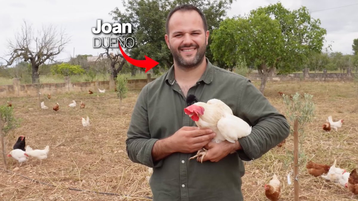 CapoEstoicoX's tweet photo. ¿Cuánto gana una granja de gallinas camperas al año?

Cerca de 61.000€ netos al año (en España)

Pero espera, que lo bueno viene ahora

-Hilo- https://t.co/uzDD3o8tY2