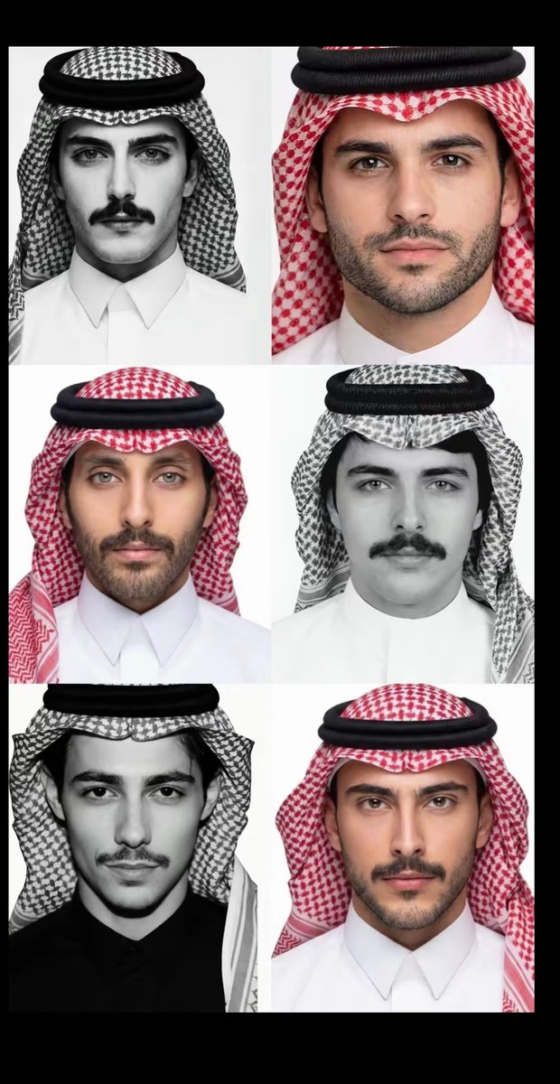 🇸🇦🤍🇱🇻 tweet media