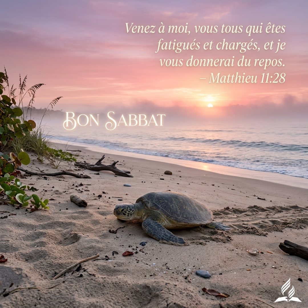Adv7jEpinal's tweet photo. Bonsoir 🌙 Jésus t’appelle à venir à Lui avec tes fardeaux. En Lui, le repos est réel et la paix profonde. ✝️ 
Dépose tout à Ses pieds et fais-Lui confiance 🙏 
Seigneur, repose mon cœur. Amen. 
Bon Sabbat 🕊️ https://t.co/Ewado0d7OO