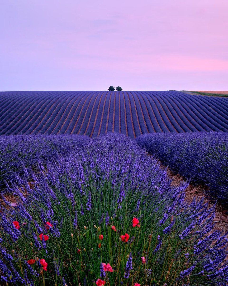 ana4dream's tweet photo. Blue night https://t.co/1urPilAvvz