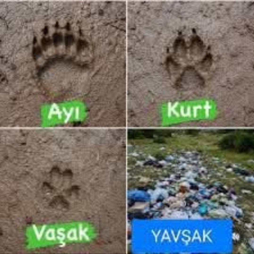 cakanyasar's tweet photo. Medeniyet, eğitimle yıkım arasında ki bir yarıştır. Biz yarışı kaybettik. https://t.co/j77uyFUJE4