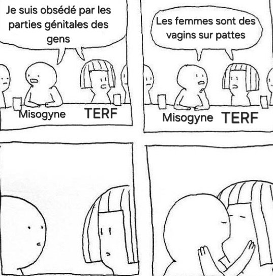 Phelya_e's tweet photo. La transphobie mène à la misogynie https://t.co/XVRG0uaoiU