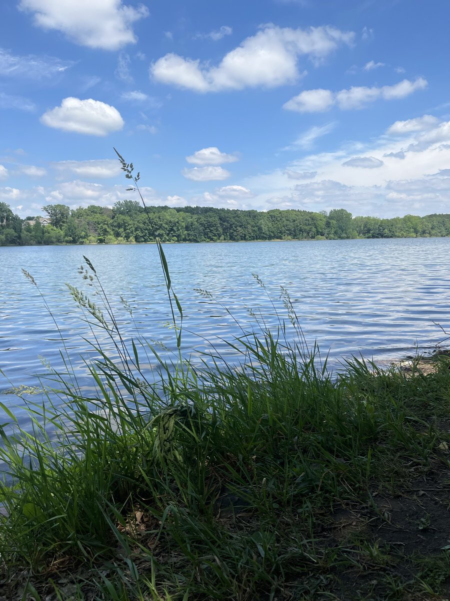 IsaacReign10's tweet photo. @JonKrawczynski LeTranquility https://t.co/Nml7AzkPSW
