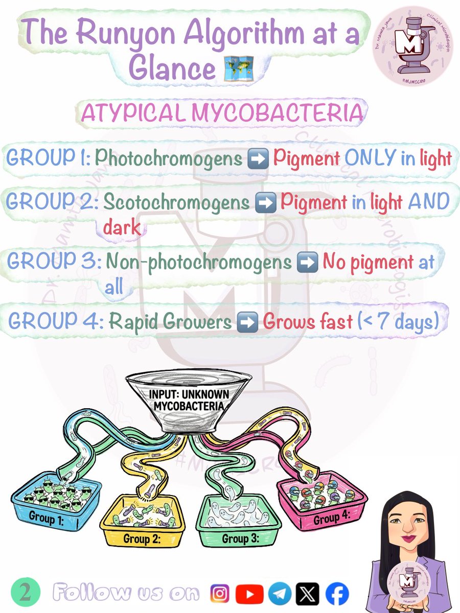 MJ_MICRO's tweet photo. Flashcard Friday ✅🧿 (Slides 5-7 in comments)
#MamtaJawa #MJMICRO #MedTwitter #MedX #MedTwt #microtwitter #microbiology #neetpg #inicet #fmge #usmle #mbbs https://t.co/z7PQZdQ1oJ