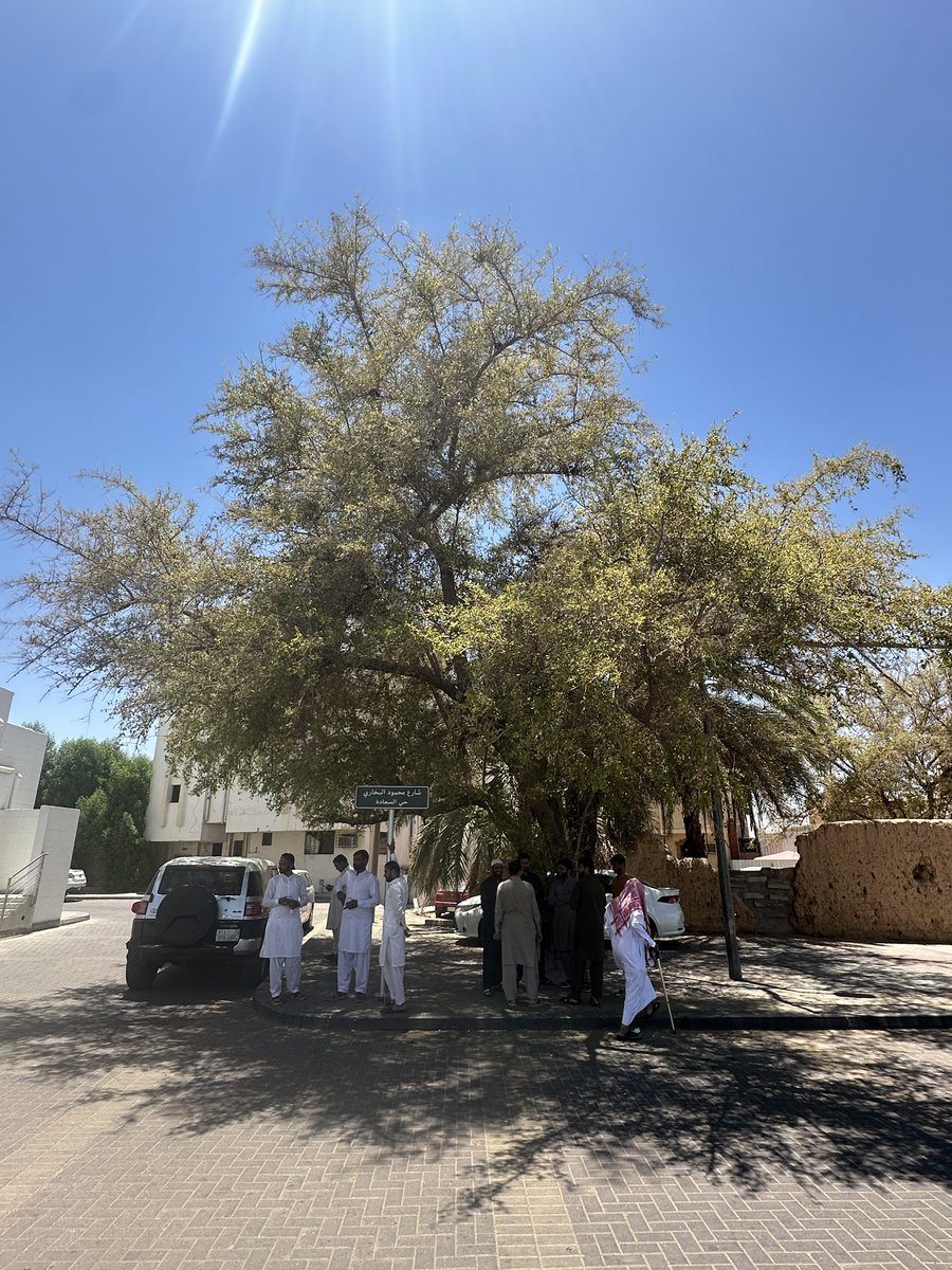 EvolveLeadLove's tweet photo. Har zarra dil fareb hai ,har jalwa jaan nawaz,
Har gaam par guman hai ki manzil yahi to hai ….

It was an amazing experience offering friday prayers at Masjid e Tauba .It was here that Ayat e Tauba was revealed . 
Prophet Peace Be Upon Him,
Camped at this place for around two weeks. 

#Ziyarat #SacredFootstepsOfPropeht #Tabuk #SaudiArabia  #Travel #Happiness