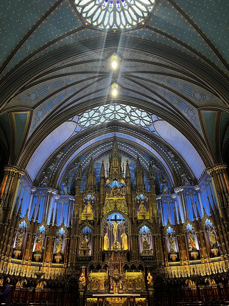 donovanbritten's tweet photo. @Montreal Montréal won my ❤️ 😏 https://t.co/UuFuB7xBEf