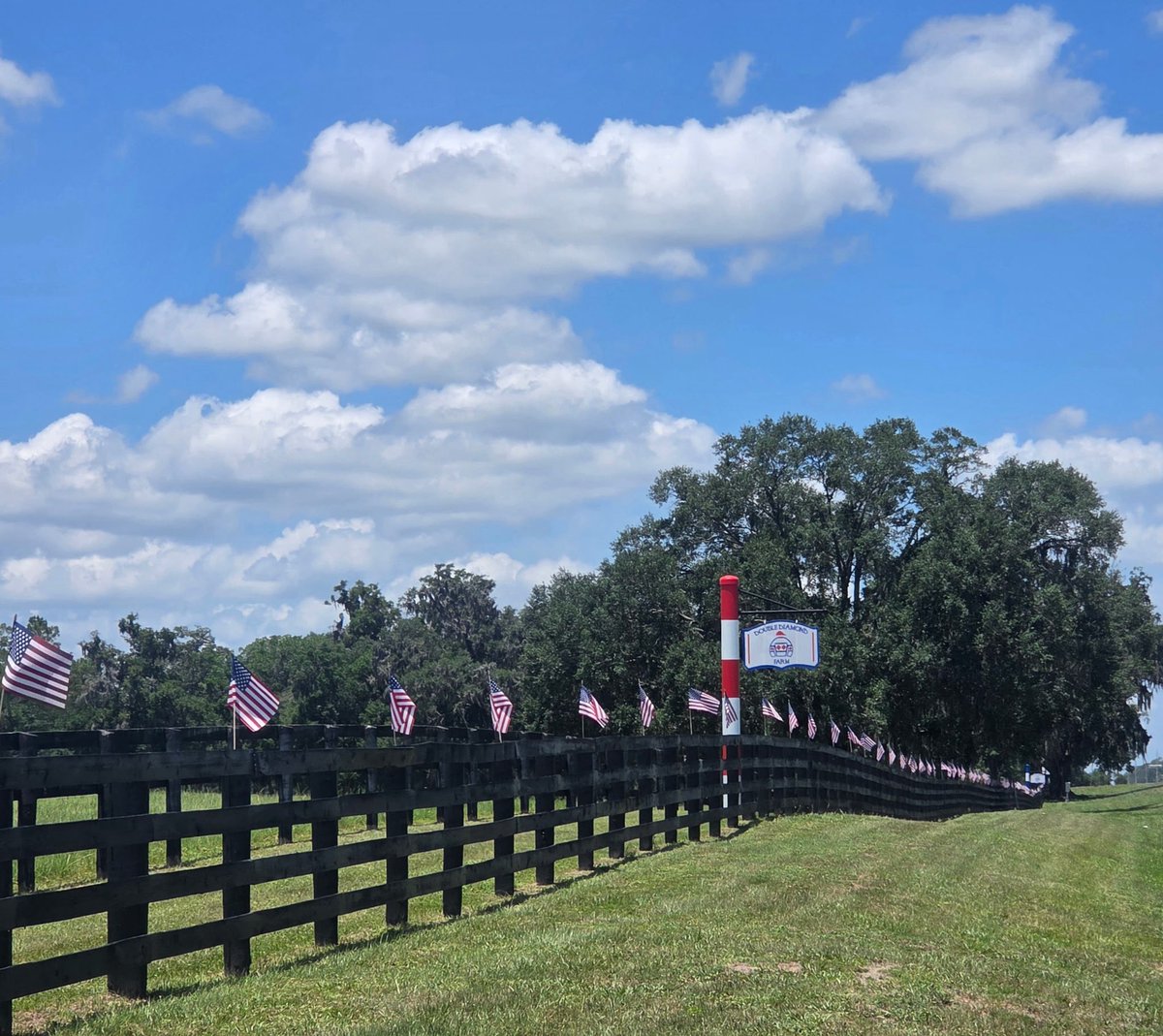 DoubleFarm15830's tweet photo. As we celebrate our country’s 250th Independence Day, Double Diamond Farm wishes everyone a happy, safe and joyful 4th of July. Have a wonderful holiday with family and friends. #freedom #usa #IndependenceDay #peace https://t.co/RPmCNOekyv
