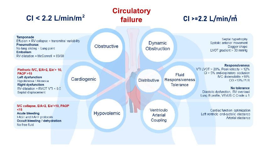 zbitarsonoicu's tweet photo. Critical Care Ultrasound in Shock: Ultrasound Protocol for Hemodynamic Assessment in the ICU

The protocol classifies shock as either low or high cardiac index and differentiates obstructive, hypovolemic, cardiogenic, and distributive etiologies. https://t.co/NZKkpzbFcH