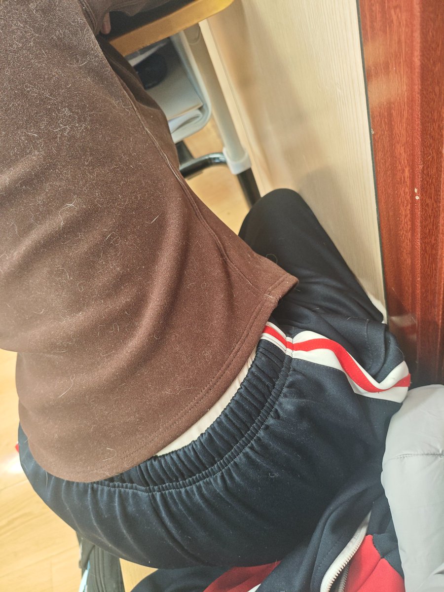 feiziwei1's tweet photo. ＃初中 ＃母狗 ＃反差 ＃后入 
依旧大屁股 https://t.co/PiBmdWHdbY
