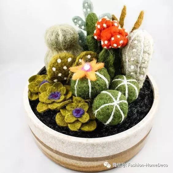 D15Vladik's tweet photo. Crafted these tiny felt succulents just now—no green thumb needed!  Perfect for sprucing up your desk, who wants one https://t.co/nkVq15lAA1