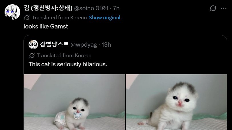 manAlanDevil's tweet photo. NEW MEME CAT DROPPED!

This cat is getting memed hard rn.

400k+ impressions in the past 12hrs.

People have even given it a name "감스트/Gamst" since it looks identical to one of the biggest Korean streamers. Just check the quotes.

Reminds me of POPCAT, could run off the the image alone bc it's so memeable.