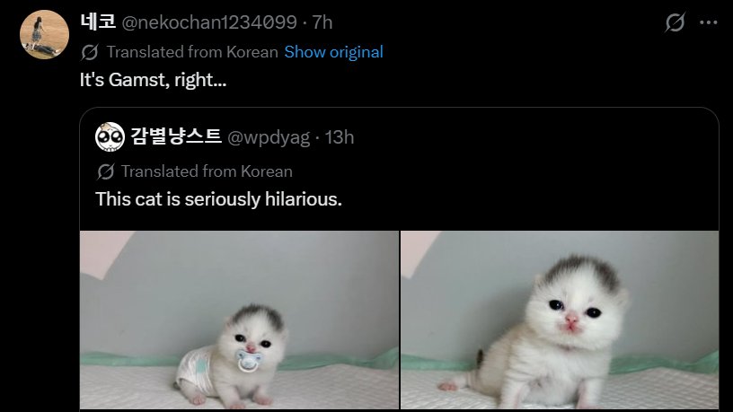 manAlanDevil's tweet photo. NEW MEME CAT DROPPED!

This cat is getting memed hard rn.

400k+ impressions in the past 12hrs.

People have even given it a name "감스트/Gamst" since it looks identical to one of the biggest Korean streamers. Just check the quotes.

Reminds me of POPCAT, could run off the the image alone bc it's so memeable.