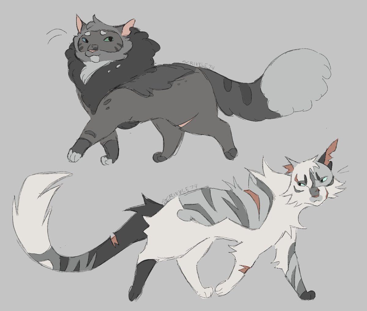 scrivvle74's tweet photo. Iโm supposed to be artfighting but thereโs been a lotta design discussion on wctwt lately so I wanted to redraw my Dovewing and Ivypool designs (2026 -> 2024)
#warriors #warriorcats #ivypool #dovewing https://t.co/BxW2jaZ3vB