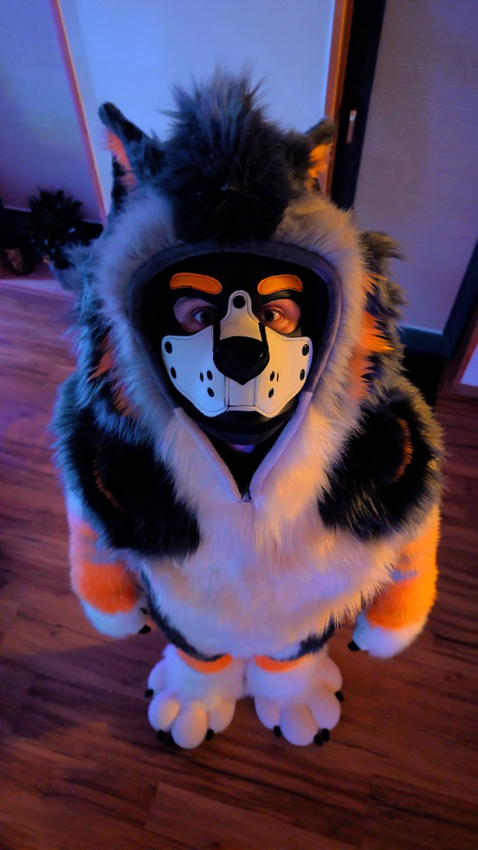 Arko_floof's tweet photo. 🥺👉🏻👈🏻 helluuu up there 

#fursuit #FursuitEverday #puppy #puppyplay #furry #furryfandom #fursona #fursuitfriday #furhood #fur https://t.co/1BpfqHwbDm