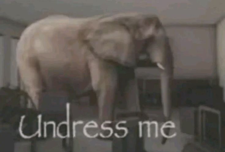 tldArcher_'s tweet photo. “So imagine dilf Zanny—“
No need to tell me twice!! https://t.co/VPf0wiGkoj